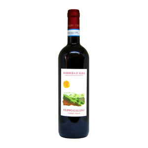 Filippo Gallino Barbera d'Alba 2018-Red-Villa Italia Wines